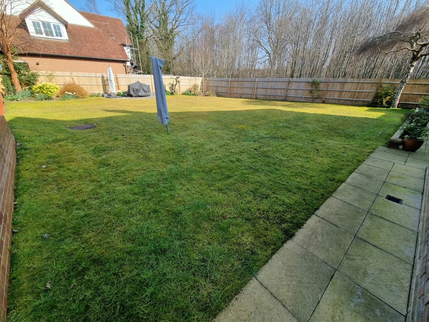 lawn_renovation_near_me_west_malling_me19_before