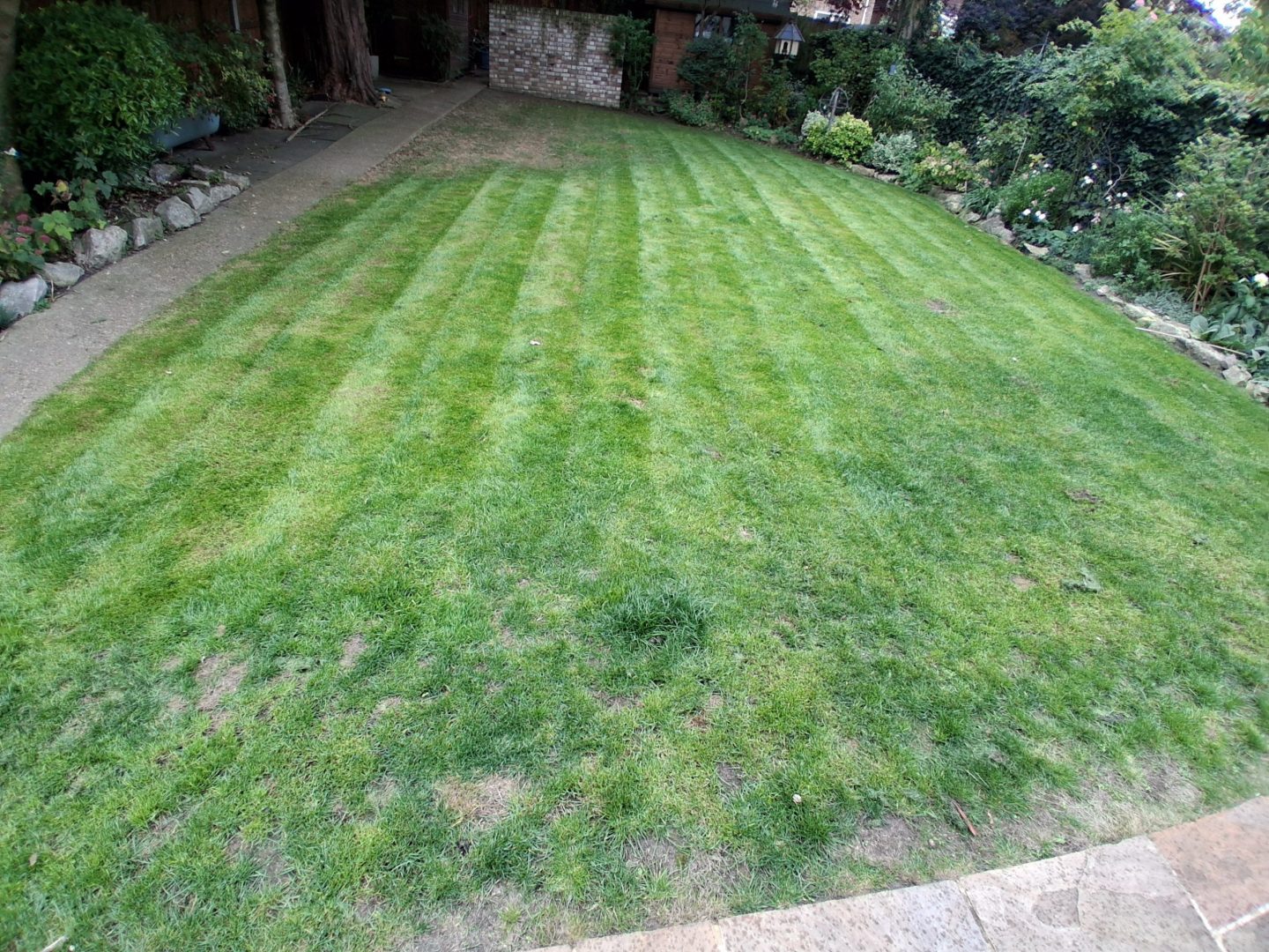 lawn_renovation_rochester_kent_before