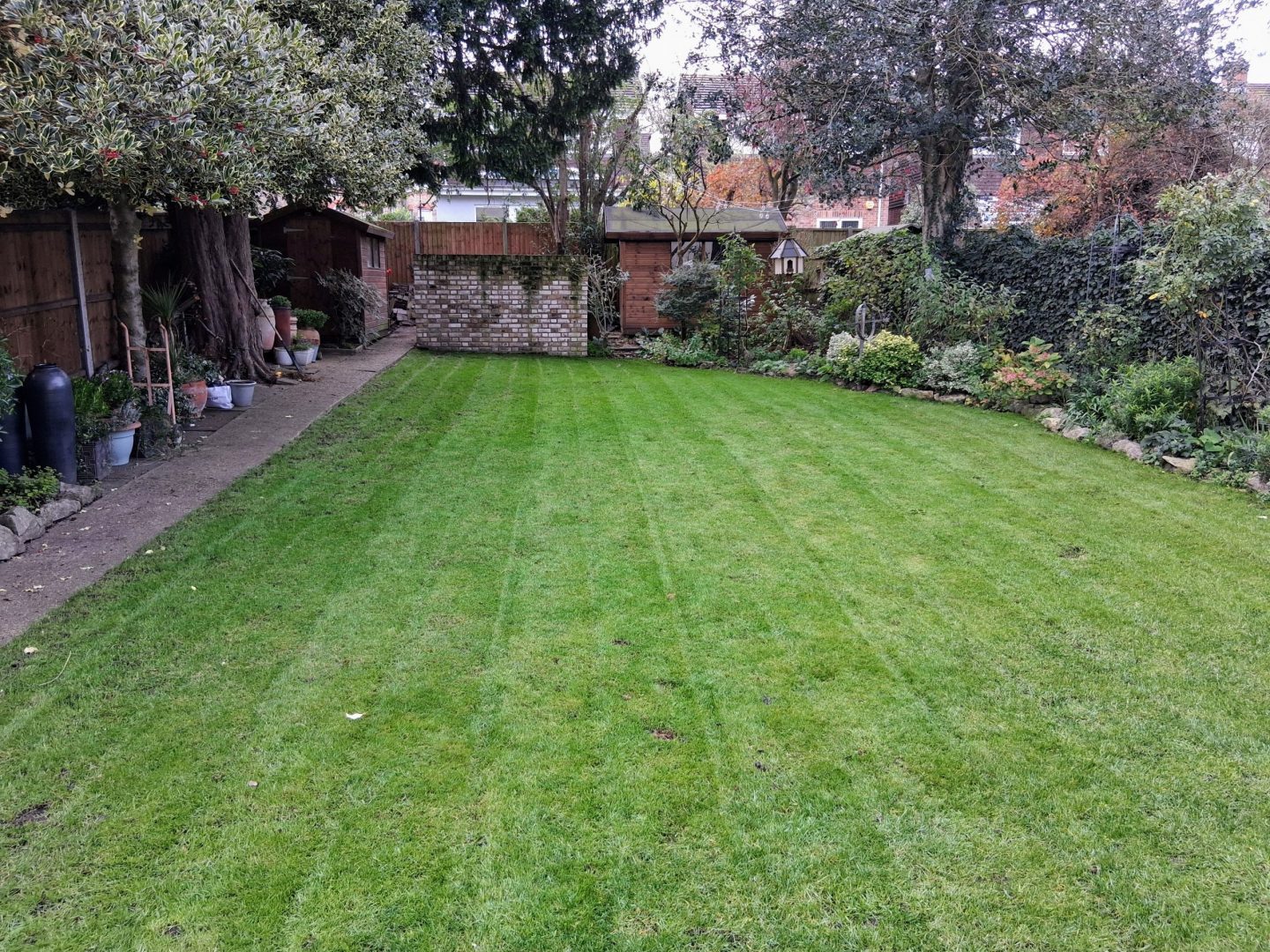 lawn_renovation_rochester_kent_progress_me1