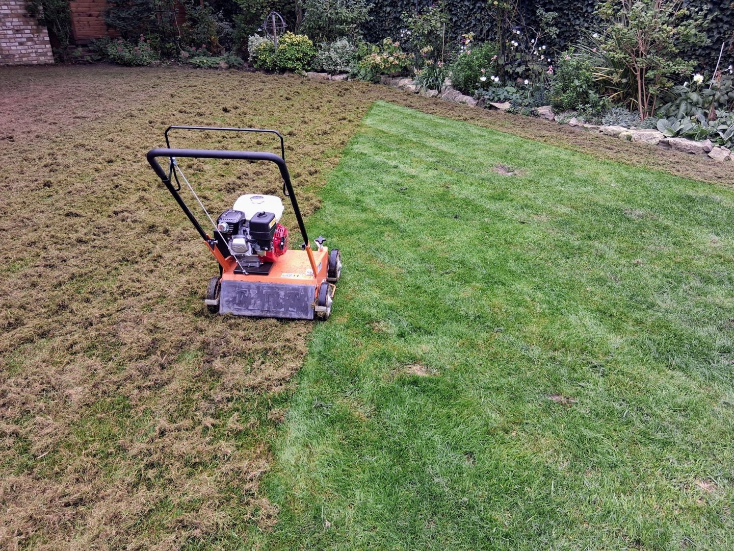lawn_renovation_rochester_scarification_me1