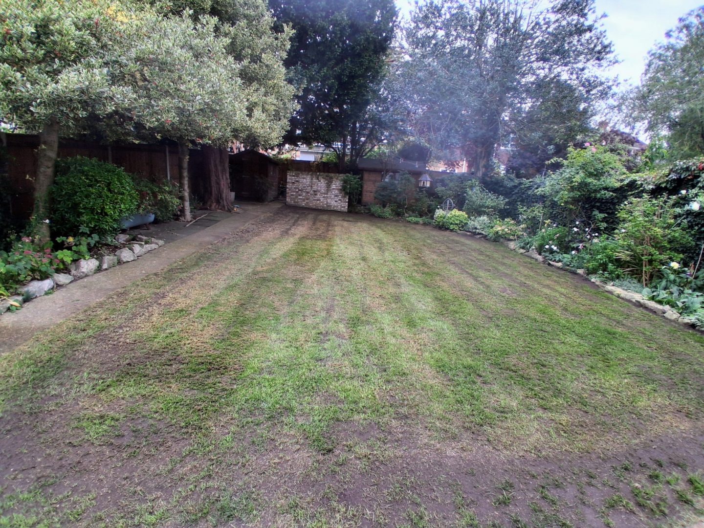 lawn_renovation_rochester_seeding
