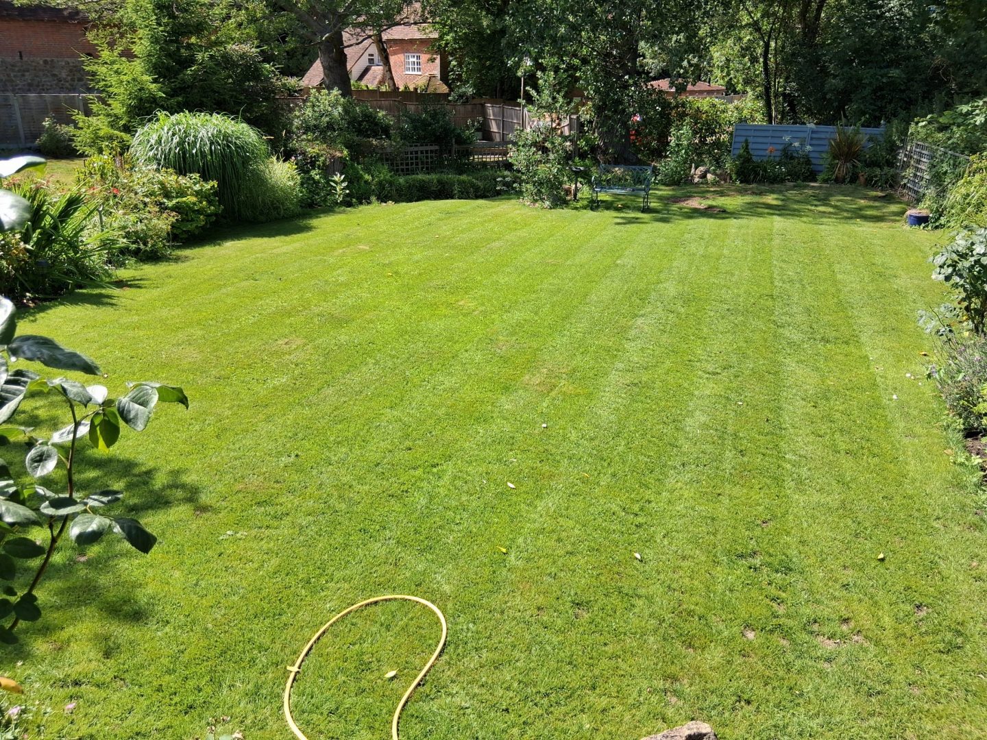 lawn_restarter_renovation_leeds_maidstone_after