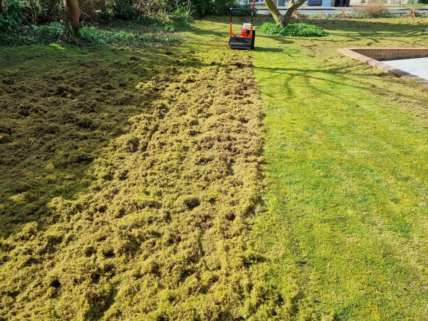 lawn_scarifying_near_me Maidstone_kent_me15