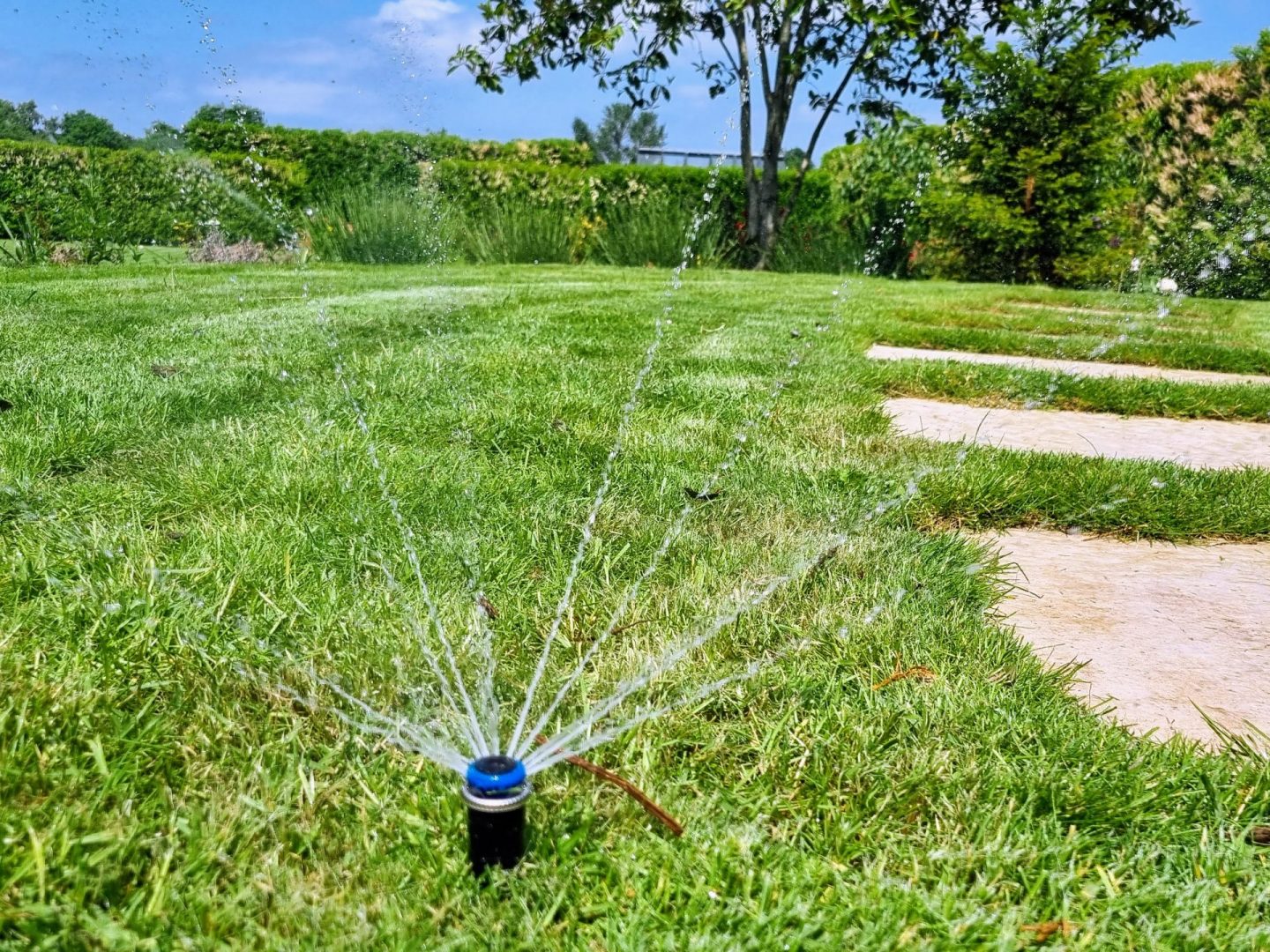 lawn_wetting_agent_kent_water_conserver_treatment lawn_wetting_agent_kent_water_conserver_treatment