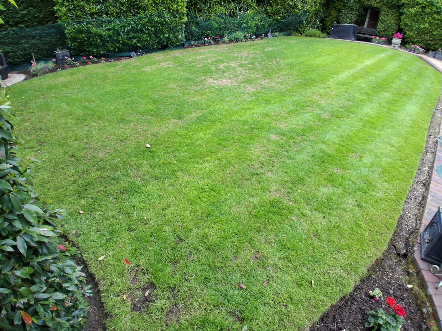 leather_jacket_grub_lawn_repair_company_near_me_maidstone_kent_before