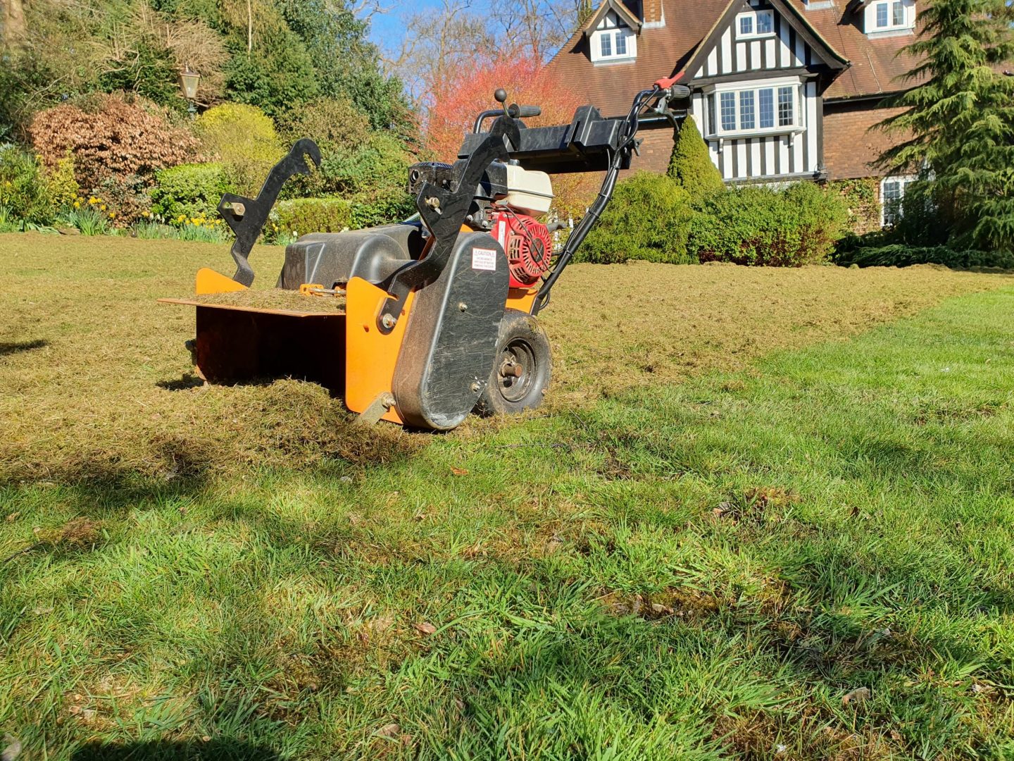 local-lawn-renovation-company lawn-scarification-service-kent