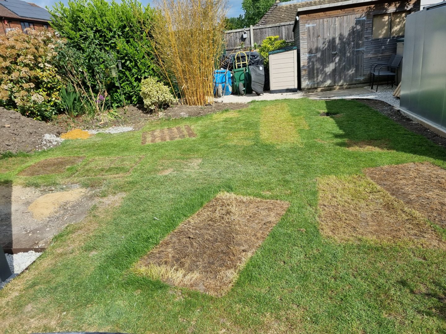 new_lawn_after_building_work_maidstone_kent_me14