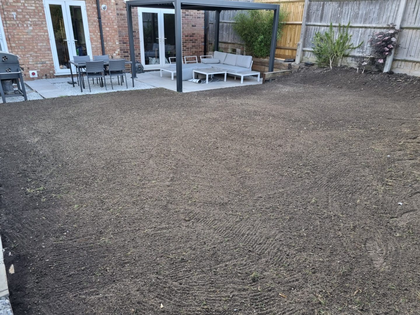 new_lawn_from_seed_bearted_me14_lawn_replacement