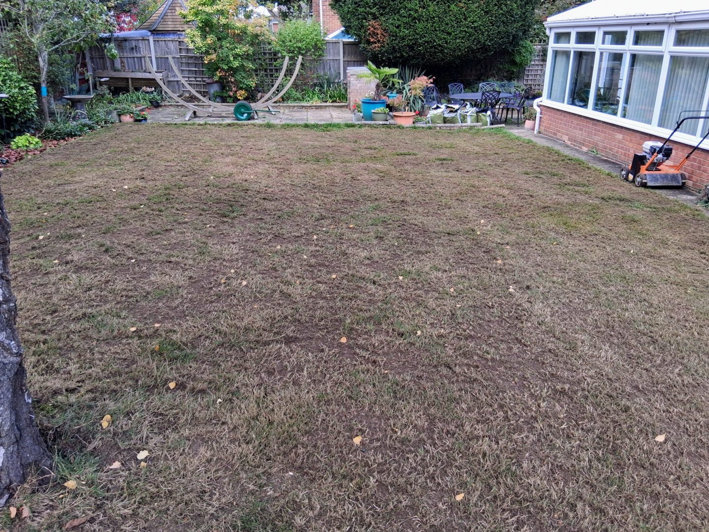 patchy_lawn_renovation_service_kent_allington_me16