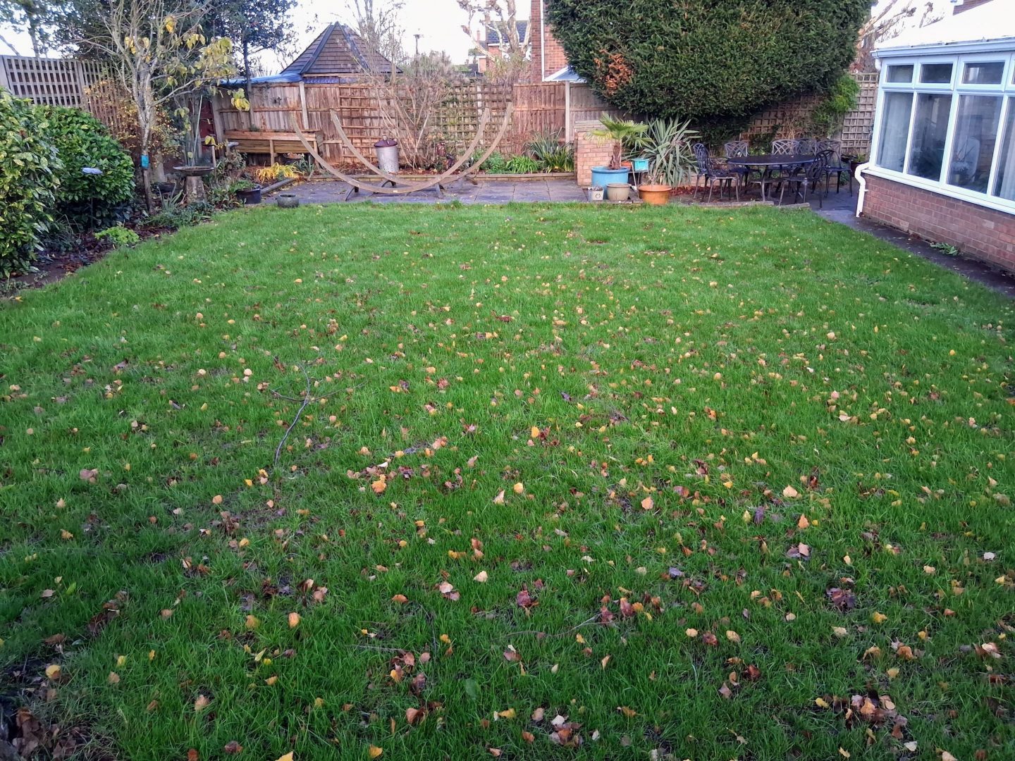patchy_lawn_repair_renovation_company_near_me_allington_maidstone_kent_progress_ME16