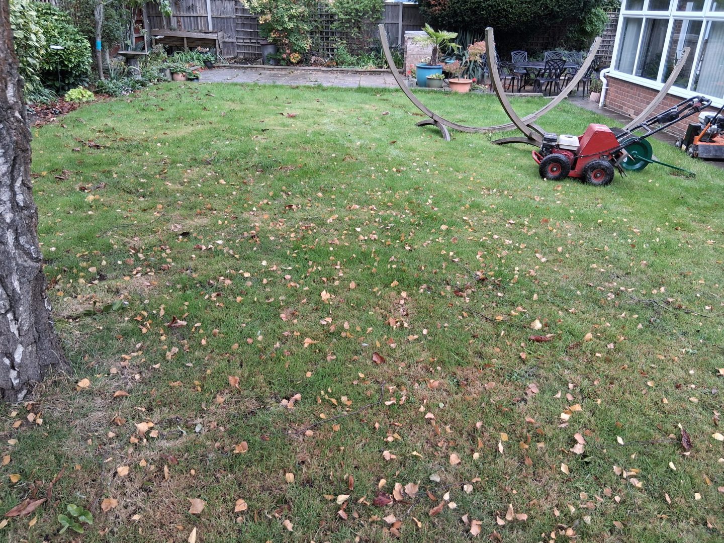 patchy_lawn_repair_service_maidstone_kent_me16_before