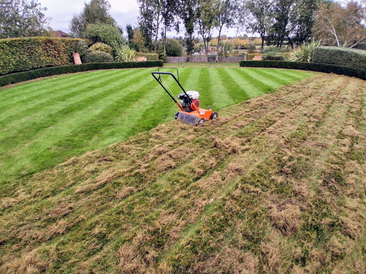 professional_lawn_scarifying_service_maidstone_kent_me15 professional_lawn_scarifying_service_maidstone_kent_me15