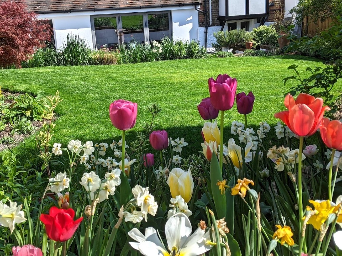 spring-lawn-treatments-near-me-maidstone